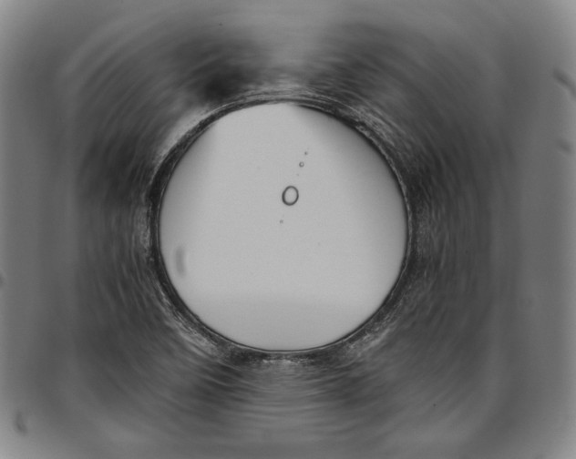 X0000097001458200802291135