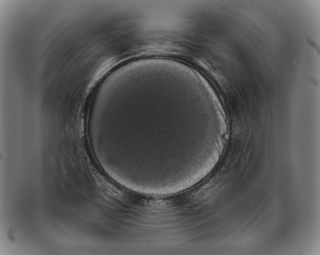 X0000097001459200802291135