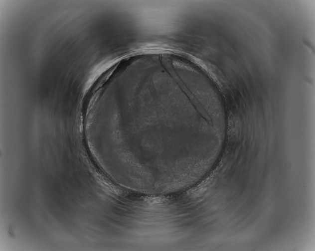 X0000097001461200802291135