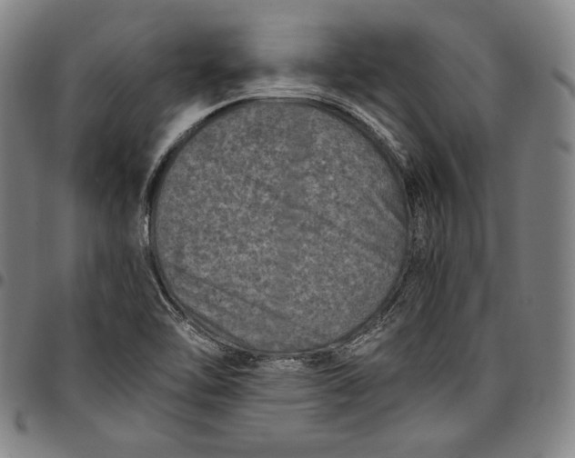 X0000097001462200802291135