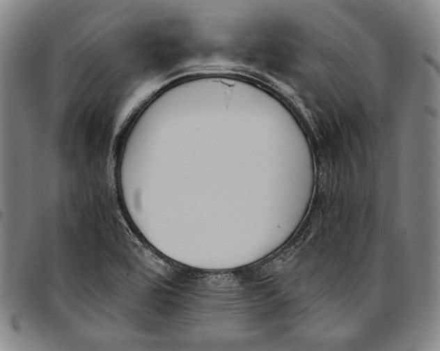 X0000097001464200802291135