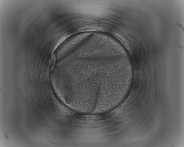 X0000097001465200802291135