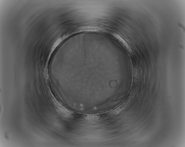 X0000097001466200802291135