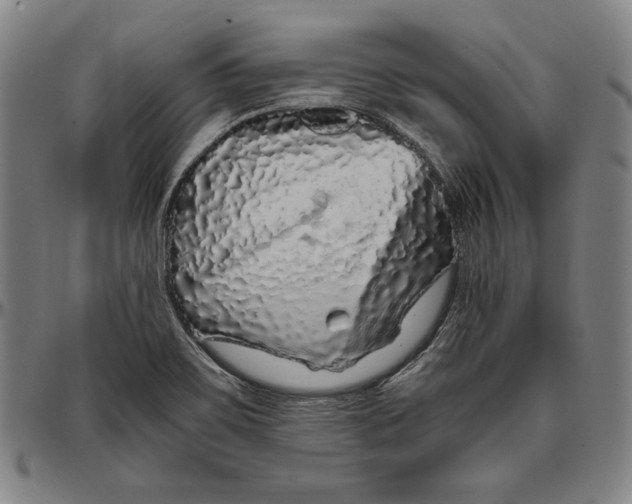 X0000097001467200802291135