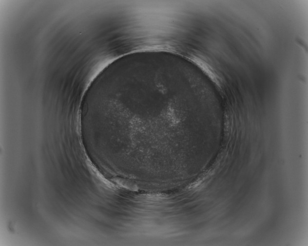 X0000097001468200802291135