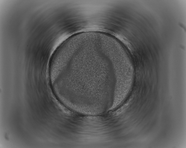 X0000097001469200802291135