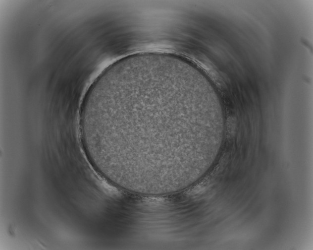 X0000097001470200802291135