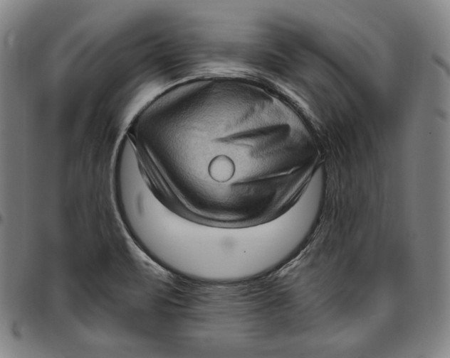 X0000097001471200802291135