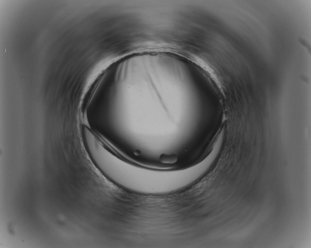 X0000097001472200802291135