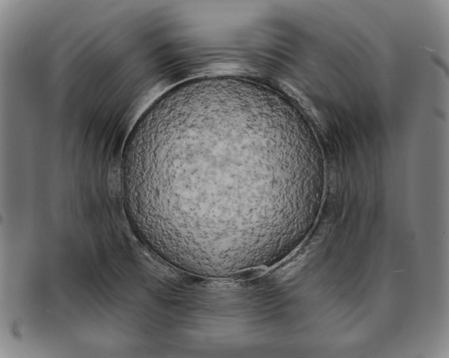 X0000097001473200802291135