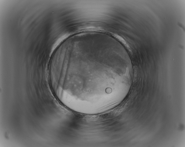 X0000097001474200802291135