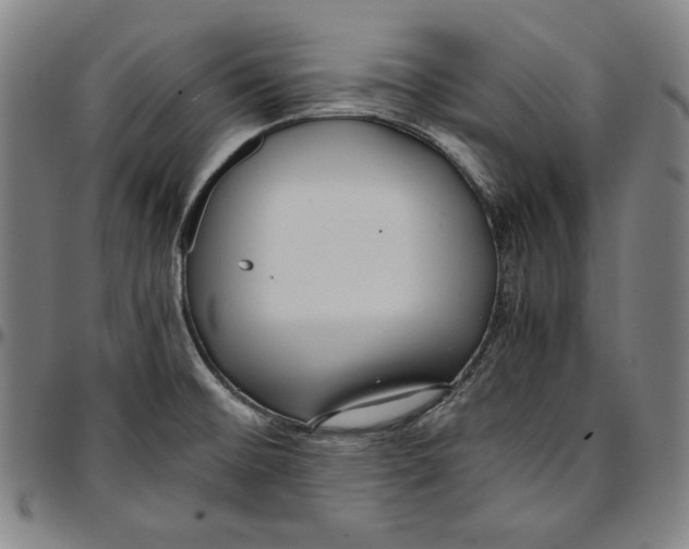 X0000097001476200802291135