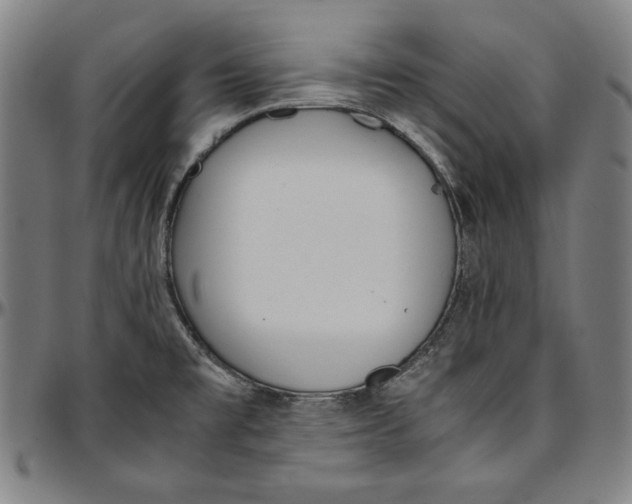 X0000097001477200802291135