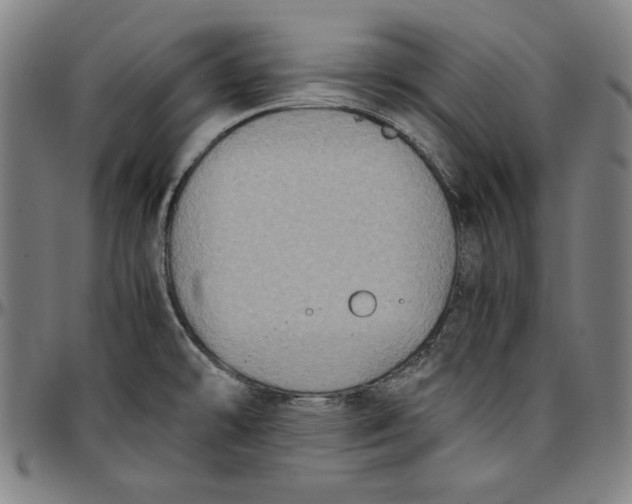 X0000097001478200802291135