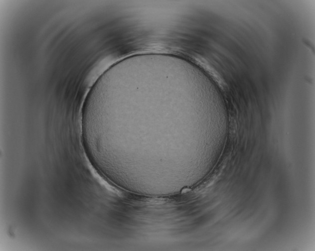 X0000097001479200802291135