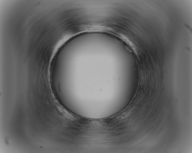 X0000097001480200802291135