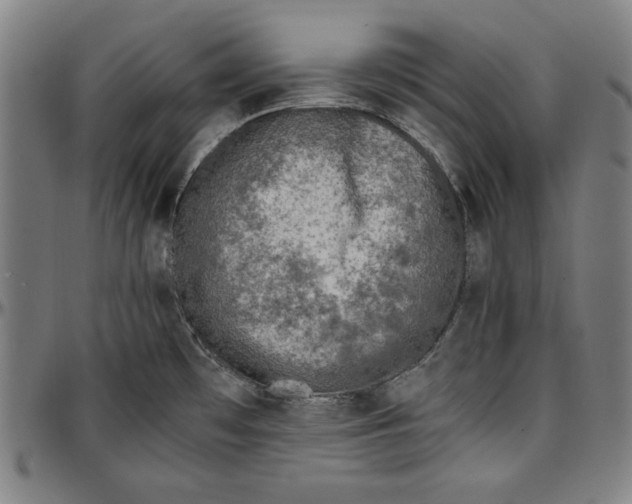 X0000097001481200802291135