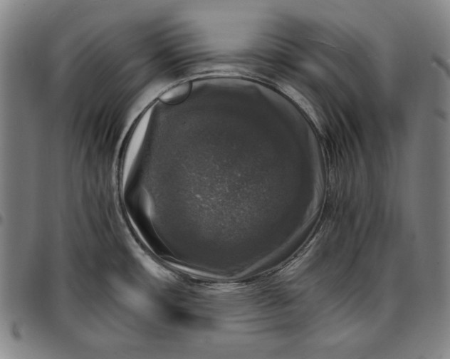 X0000097001482200802291135