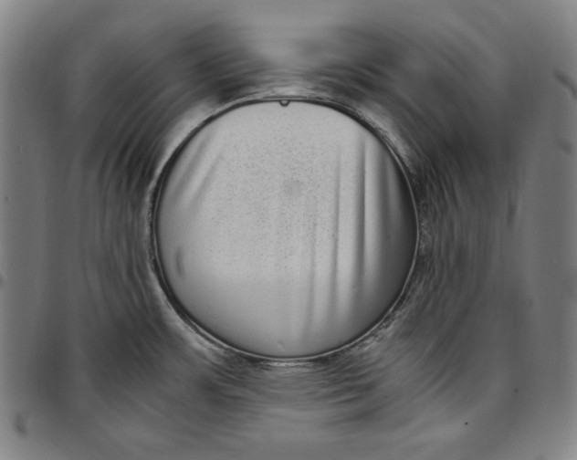 X0000097001483200802291135