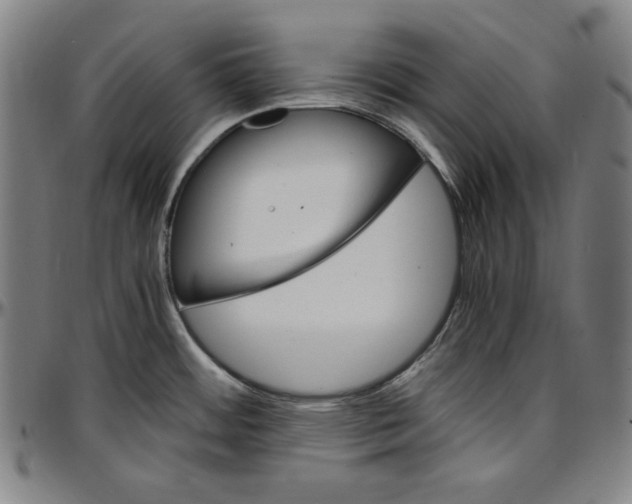 X0000097001484200802291135