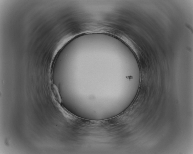 X0000097001485200802291135