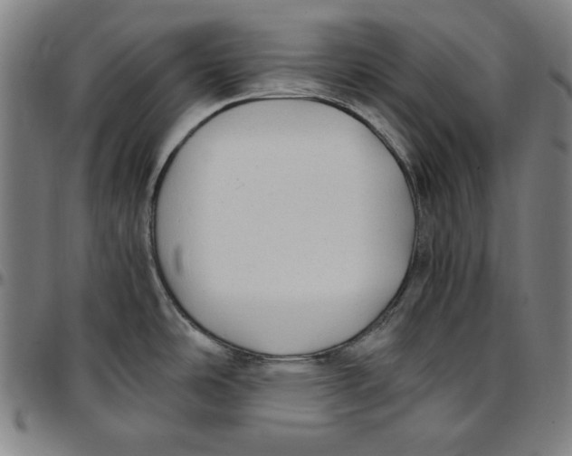 X0000097001486200802291135