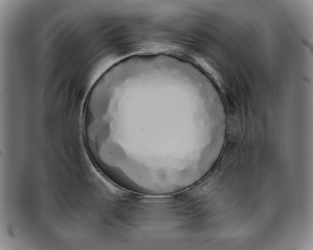 X0000097001487200802291135