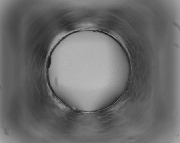 X0000097001488200802291135