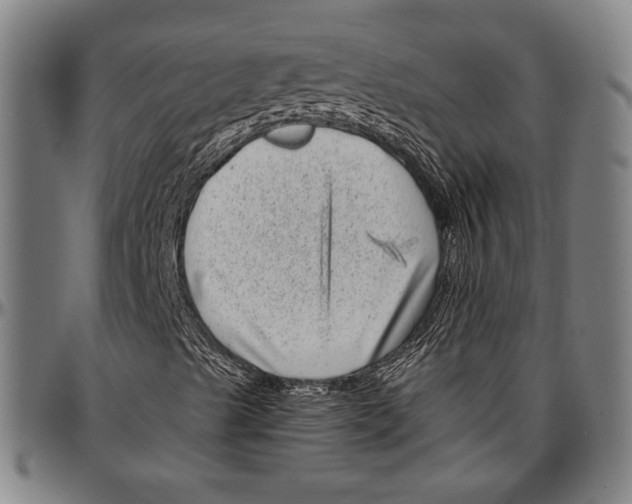 X0000097001489200802291134