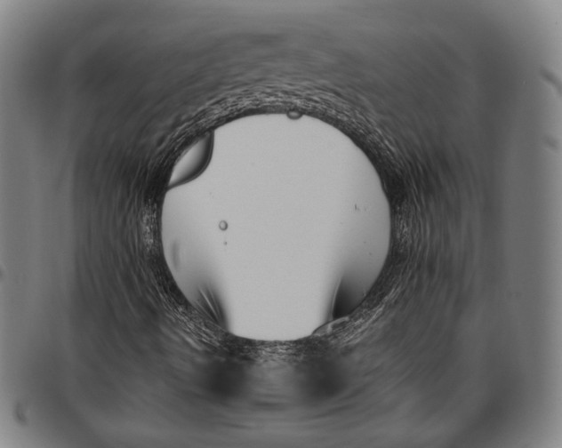 X0000097001490200802291134