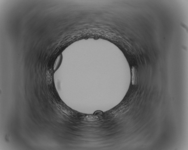 X0000097001491200802291134