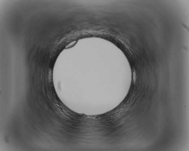 X0000097001492200802291134