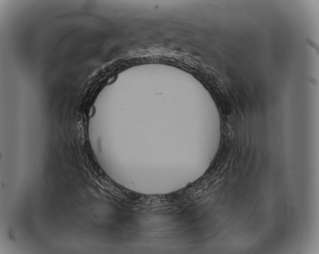 X0000097001493200802291134