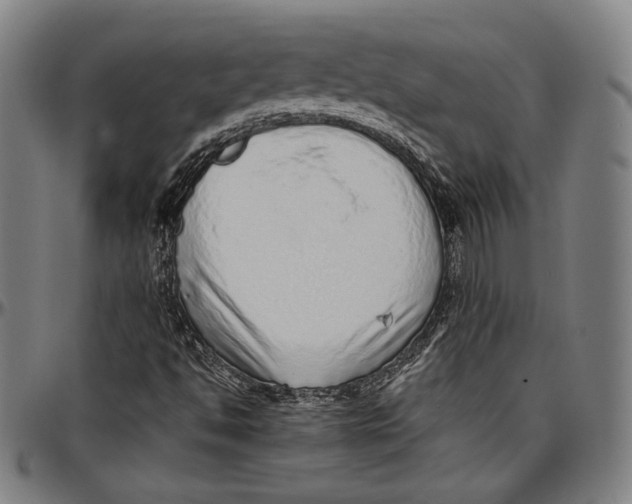 X0000097001494200802291134