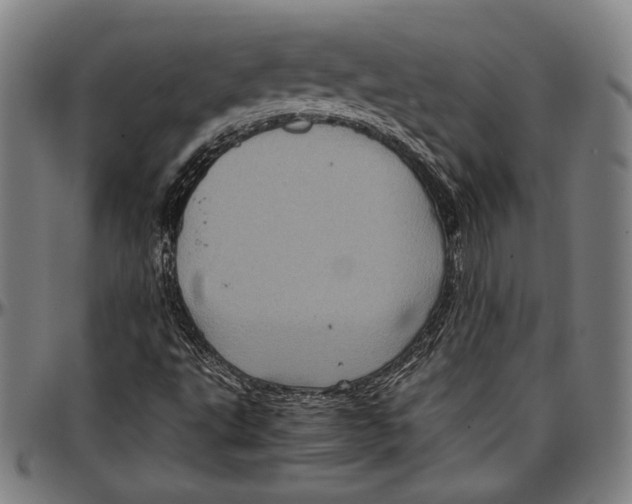 X0000097001495200802291134