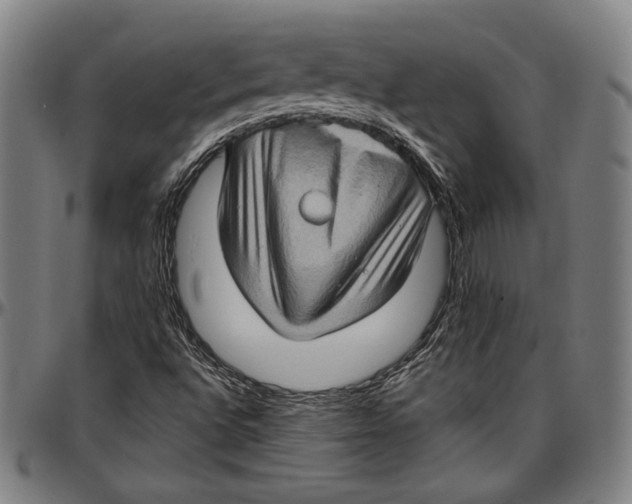 X0000097001496200802291134