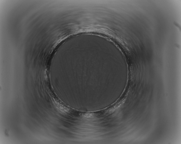 X0000097001497200802291134