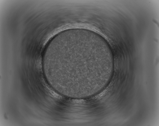 X0000097001498200802291134