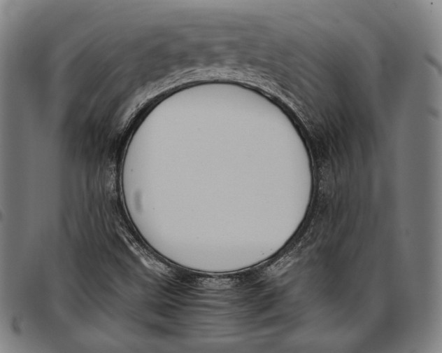 X0000097001499200802291134