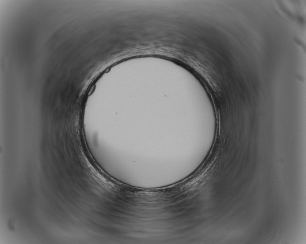 X0000097001500200802291134