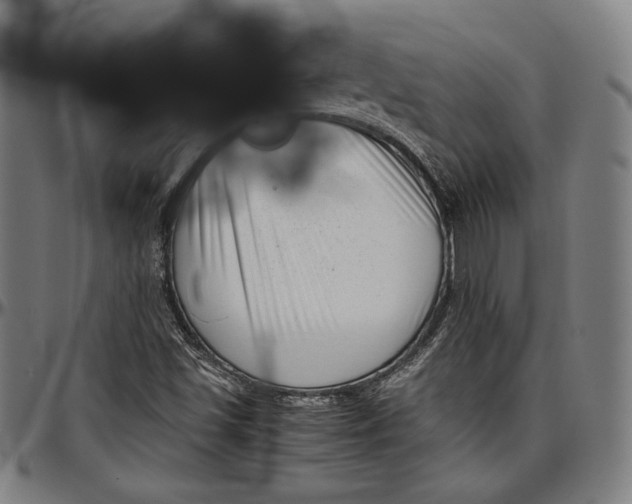 X0000097001501200802291134