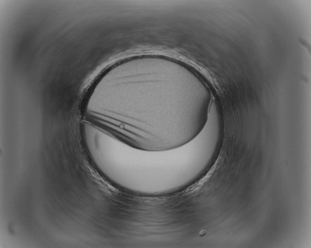 X0000097001502200802291134