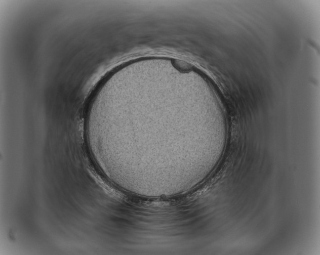 X0000097001503200802291134