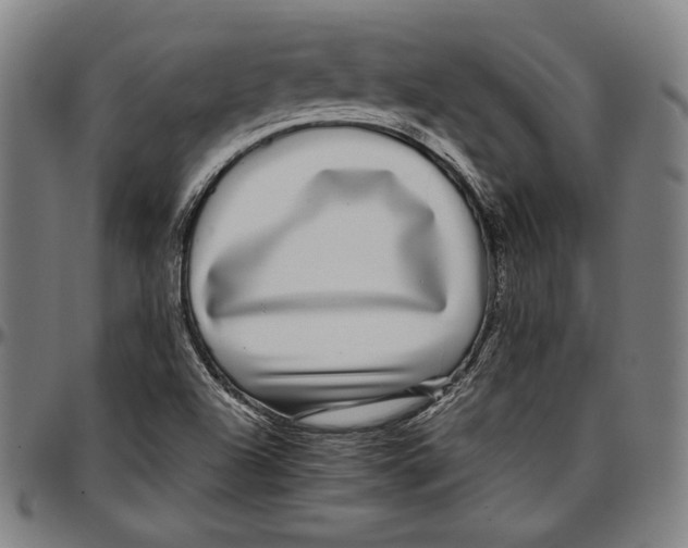 X0000097001504200802291134