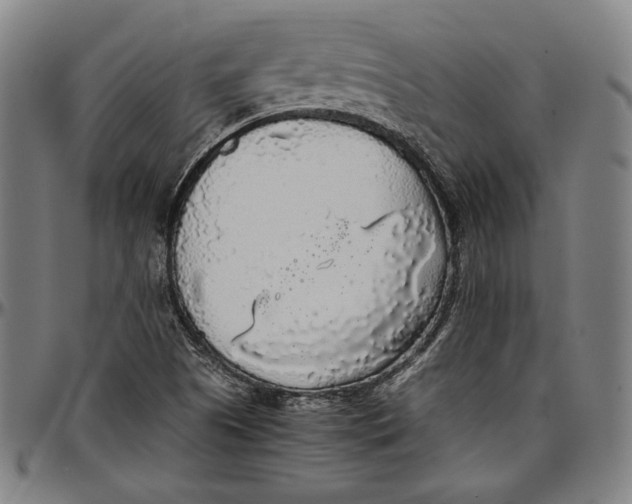 X0000097001505200802291135