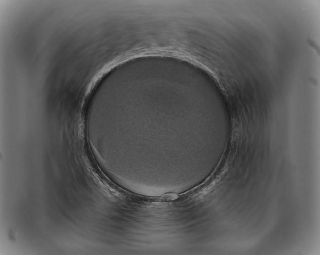 X0000097001506200802291135