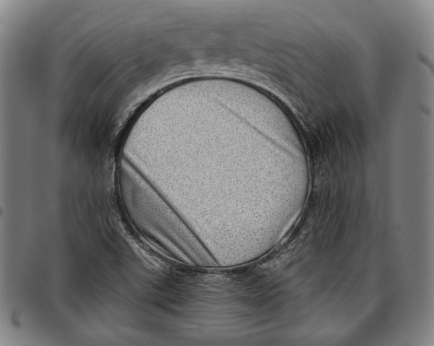 X0000097001507200802291135