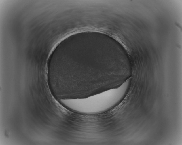 X0000097001508200802291135