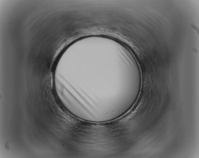 X0000097001509200802291135