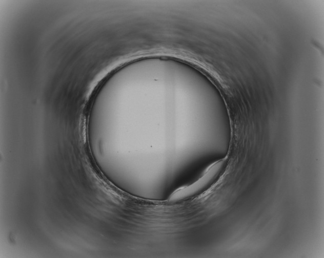 X0000097001510200802291135